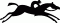 Suffolk Downs logo