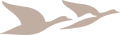 Rated 4.8 the Accor logo
