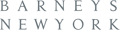 Barneys New York Thumb logo