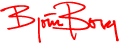 Bj�rn Borg Thumb logo