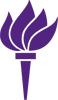 New York University (NYU) logo New York University (NYU) logo